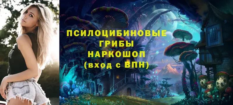 Галлюциногенные грибы Cubensis  Североморск 